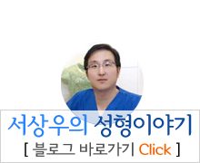 서상우의 성형이야기